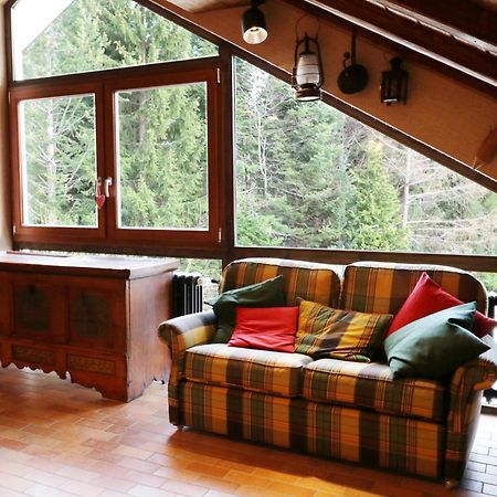 Fewo Schwarzwaldblick, 3 Schlafzimmer Todtnau-Muggenbrunn, Liftverbund Feldberg Exteriér fotografie