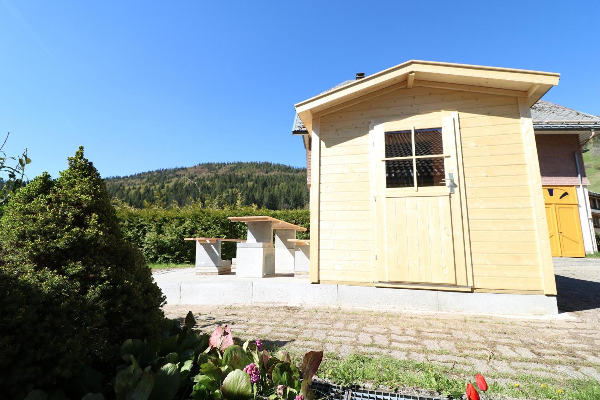 Fewo Schwarzwaldblick, 3 Schlafzimmer Todtnau-Muggenbrunn, Liftverbund Feldberg Exteriér fotografie