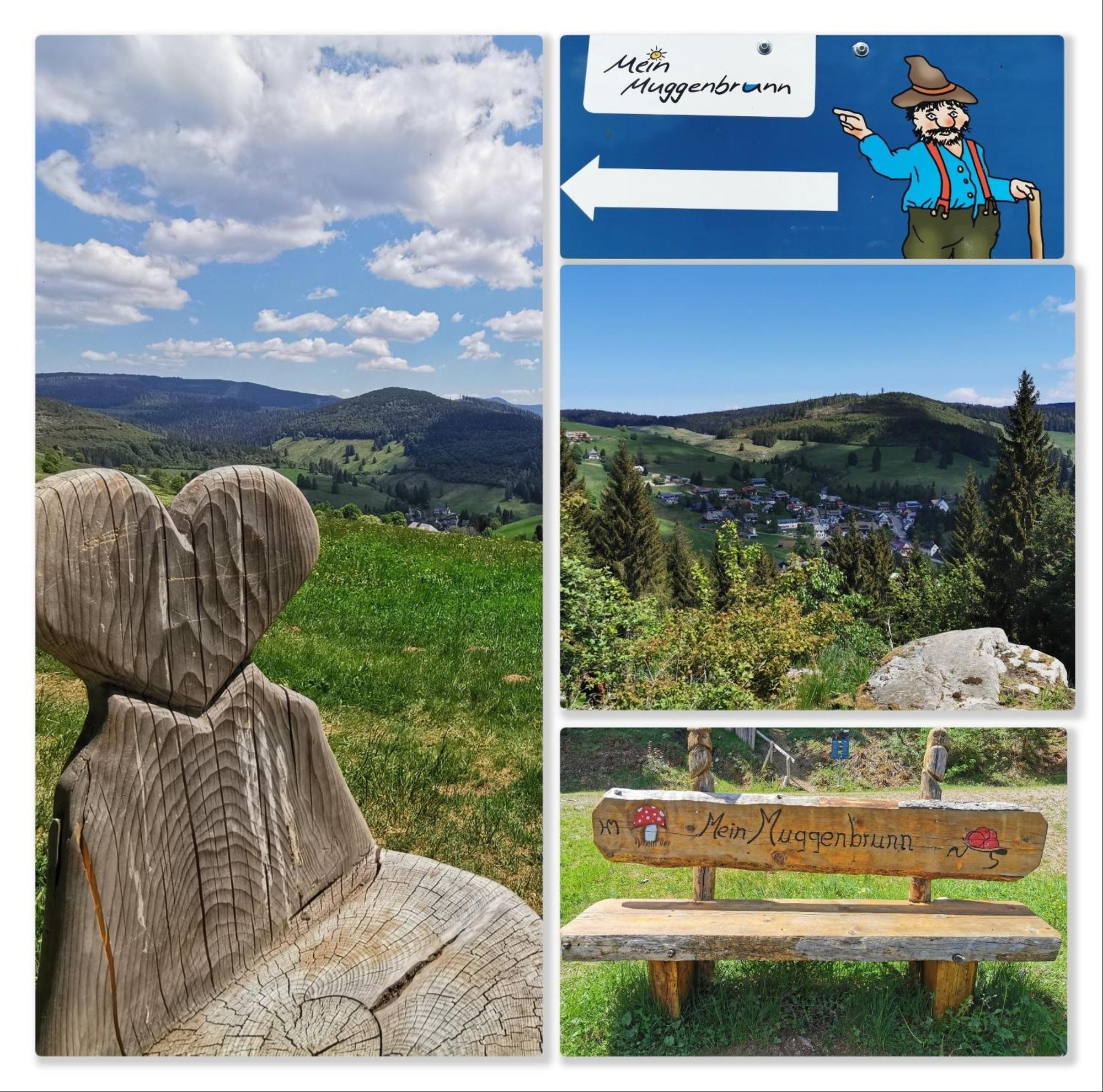 Fewo Schwarzwaldblick, 3 Schlafzimmer Todtnau-Muggenbrunn, Liftverbund Feldberg Exteriér fotografie