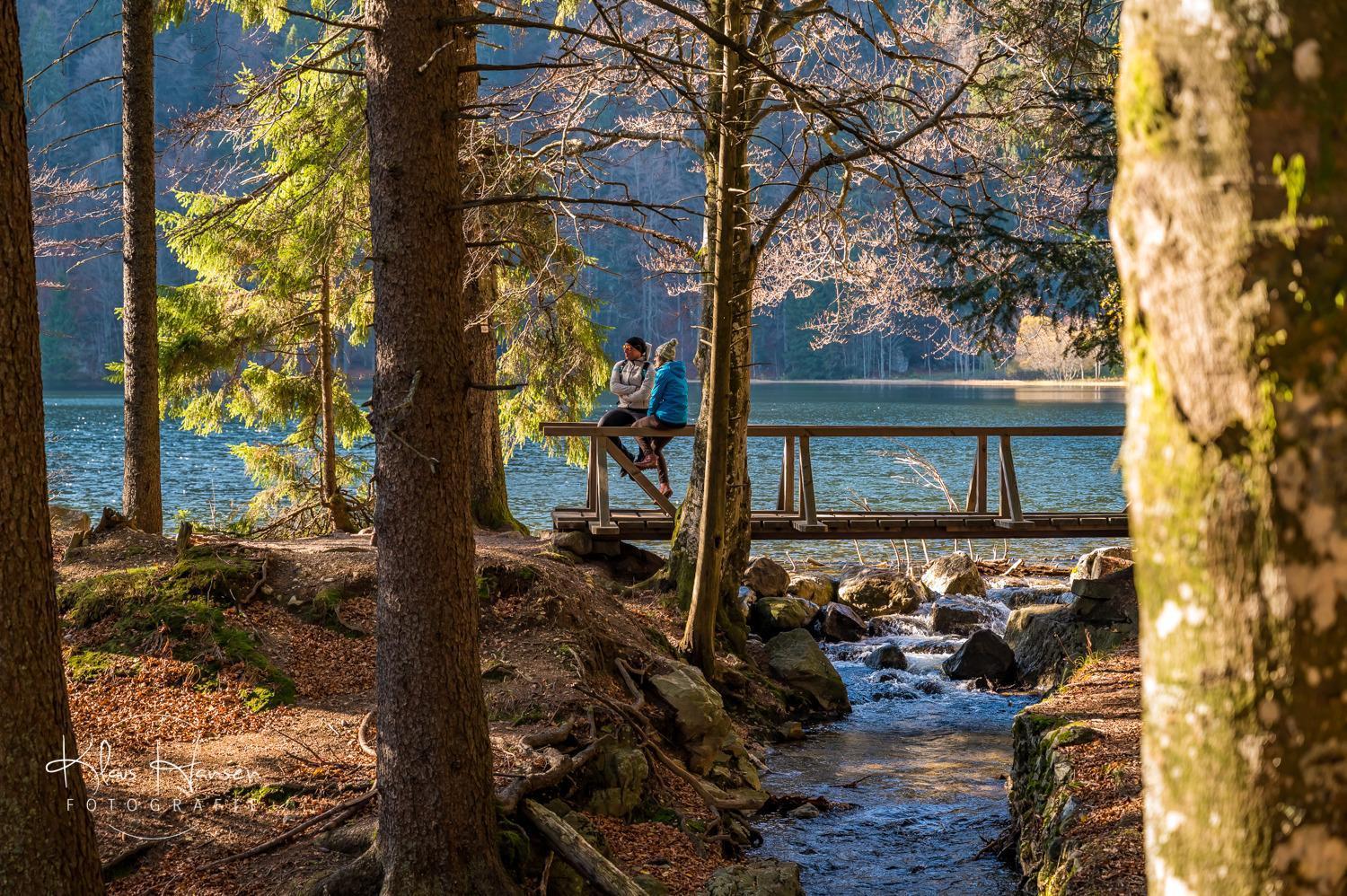 Fewo Schwarzwaldblick, 3 Schlafzimmer Todtnau-Muggenbrunn, Liftverbund Feldberg Exteriér fotografie